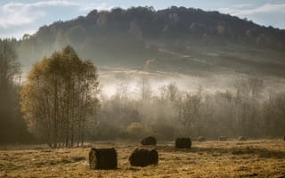 Картинка туман, поле, сено, осень