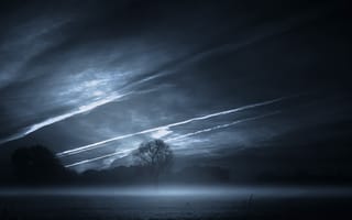 Картинка ночь, природа, туман