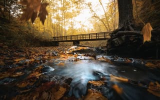 Картинка река, мост, осень