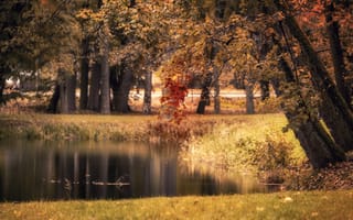 Картинка озеро, парк, осень