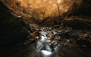 Картинка река, природа, осень