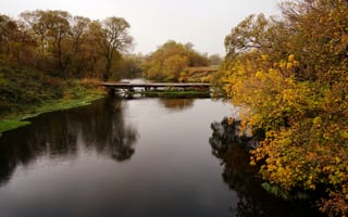 Картинка деревья, река, природа, мост, осень