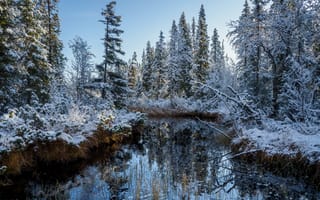 Картинка река, снег, лес, осень