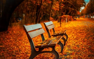 Картинка осень, осенние, время года, сезоны, сезонные, парк, природа, скамейка, лист, листья, листва, осеньfoliage