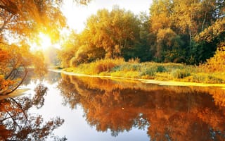 Картинка осень, осенние, время года, сезоны, сезонные, пейзаж, природа, лес, деревья, лесной, вечер, утро, утренний, отражение, река, вода, озеро, пруд