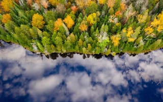Картинка река, лес, отражение, осень