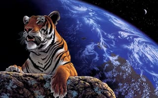 Картинка тигр, морда, земля, планета, звезды, пасть, взгляд, лапы, космос, арт, живопись, ночь, камень
