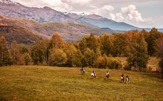 Картинка горы, лес, кони, осень, лошади