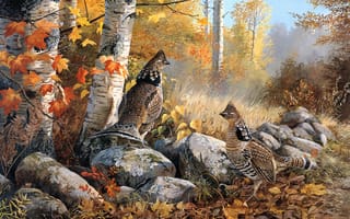 Картинка арт, природа, лес, птицы, осень, булыжники