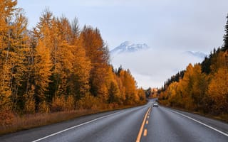 Картинка дорога, горы, лес, желтая листва, путь, машина, краски осени, осень, золотая осень, разметка, шоссе, туман, асфальт, даль, автомобиль