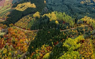 Картинка дорога, лес, вид, красота, вид с высоты, осень, краски осени