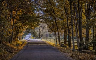 Картинка дорога, осень