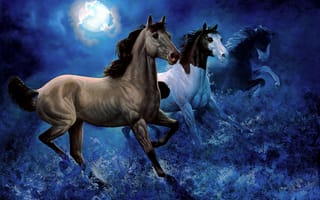 Картинка небо, арт, кони, лошади, бег, ночь, луна