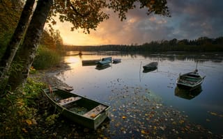 Картинка берег, осень, лодки, водоем