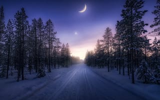 Картинка дорога, зима, луна