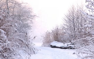 Картинка небо, снег, иней, природа, лодка, зима, туман, кусты, тропинка, сугробы