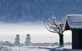 Картинка снег, дерево, крыша, лес, зима, сугробы, дом, дымка, туман, тени, снеговики