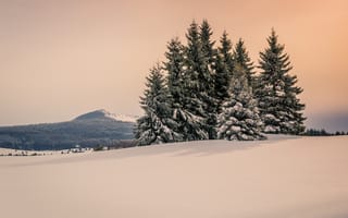 Картинка небо, снег, ели, лес, сугробы, гора, зима