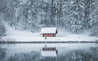 Картинка снег, лес, домик, водоем, отражение, зима