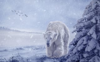 Картинка морда, снег, туман, рендеринг, прогулка, медведь, стая, птицы, зима, белый