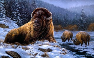 Картинка снег, зима, бизон, бизоны