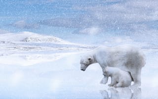 Картинка снег, берег, рендеринг, отражение, малыш, зима, снегопад, медведь, мама, медвежонок, водоем