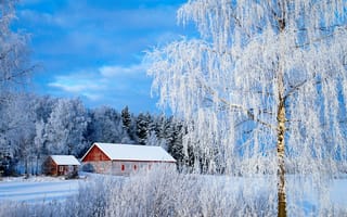 Картинка снег, зима, зимний лес