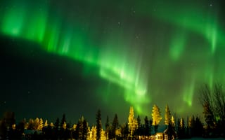Картинка ночь, деревья, полярное сияние, пейзаж, лес, финляндия, северное сияние
