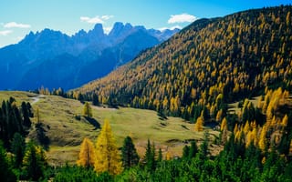 Картинка горы, гора, природа, пейзаж, лес, деревья, лесной, осень
