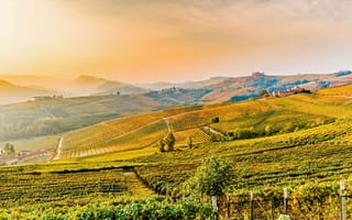 Картинка холмы, италия, виноградники, пьемонт