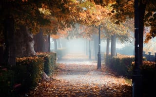 Картинка листопад, венгрия