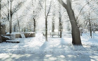 Картинка солнце, зима, лучи, дервья, снег, скамейки, парк, snow trees