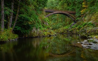 Картинка природа, мост