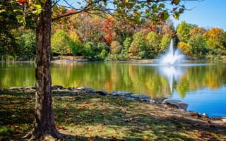 Картинка деревья, парк, пруд, центральный парк, осень, миссури, фонтан