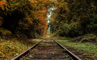 Картинка железная дорога, рельсы, осень