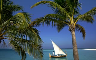 Картинка пляж, мальдивы, лодка, пальмы, тропики