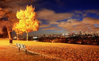 Картинка ночь, город, осень, нью-йорк, парк, скамейка, сша