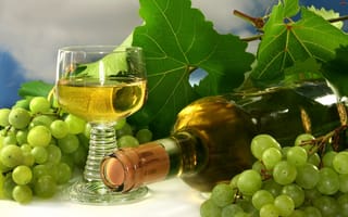 Обои виноград, вино, бокал, гроздь, белое вино, бутылка