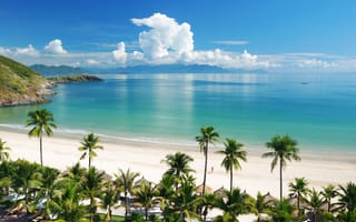 Обои пляж, пальмы, тропики