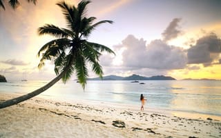 Картинка девушка, пляж, море, отдых, тропики