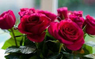 Картинка розы, пурпурные, букет
