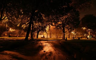 Картинка ночь, деревья, фонари