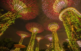 Картинка ночь, огни, парк, сингапур, марина бей, сад, marina bay sands, подсветка, marina bay gardens