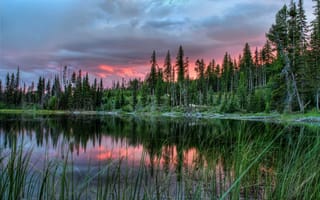 Картинка деревья, провинция альберта, канада, закат, озеро, пейзаж