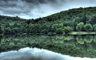 Обои вода, отражение, лес
