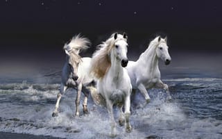 Картинка декабрь, эх, и февраль, январь, три белых коня