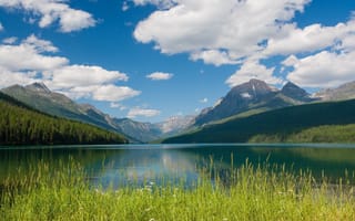 Картинка монтана, национальный парк глейшер, bowman lake