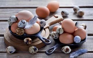 Картинка яйца, перепелиные, anna verdina, куриные, яицо