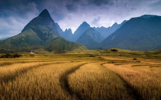 Картинка горы, вьетнам, провинция лаокай, фаншипан, поле, гора