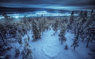 Картинка ночь, зима, снег, лес, деревья, город, пейзаж